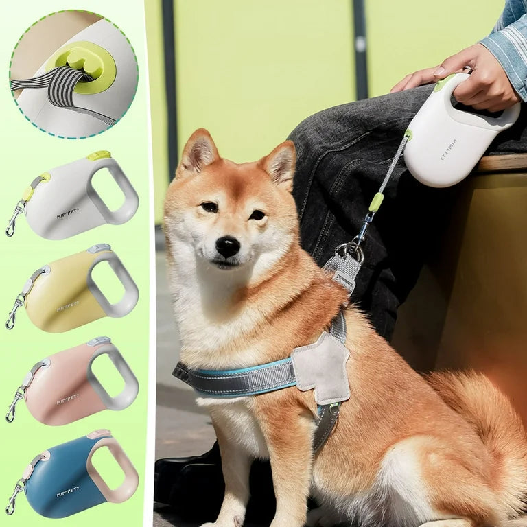 3m 5m Dog Leash for Small Dogs Cat Automatic Retractable Durable Nylon Lead Puppy Outdoor Travel Walking Hiking Traction Rope